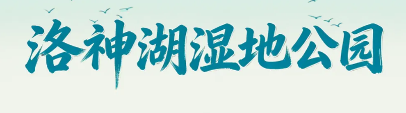 ff7ad653a4d4fd77563b88298a5a9b1e.png