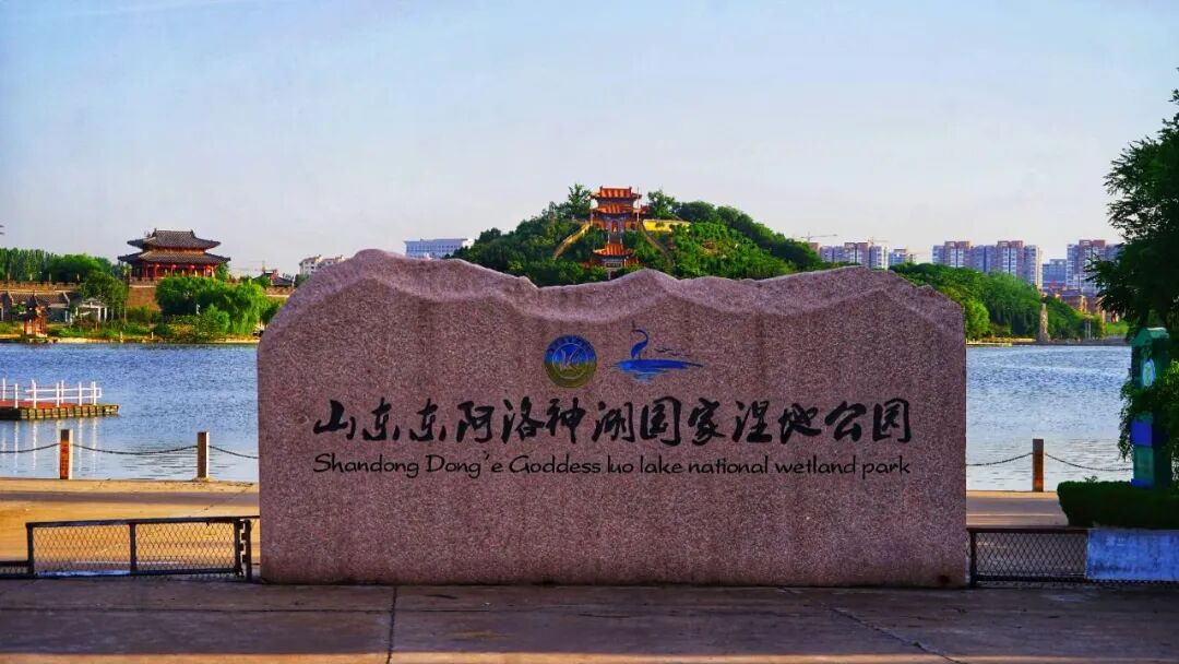 1784717860361904.jpg