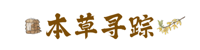 1789105092877623.png image.png