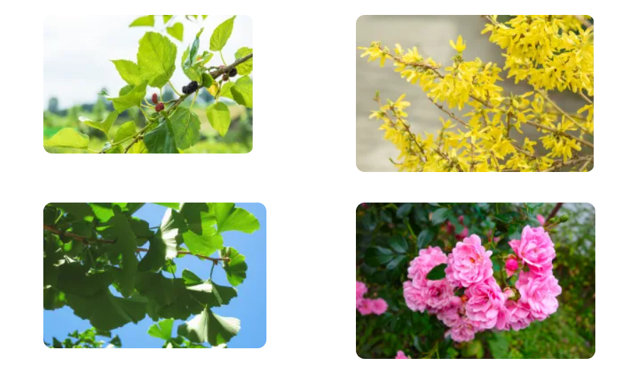 1789106910407548.png 屏幕截图 2026-09-11 144052.png