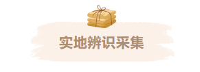 1789106920136617.png 屏幕截图 2026-09-11 144107.png