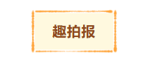 1792562574455828.png image.png